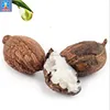 long service life shea butter/nut oil processing equipment