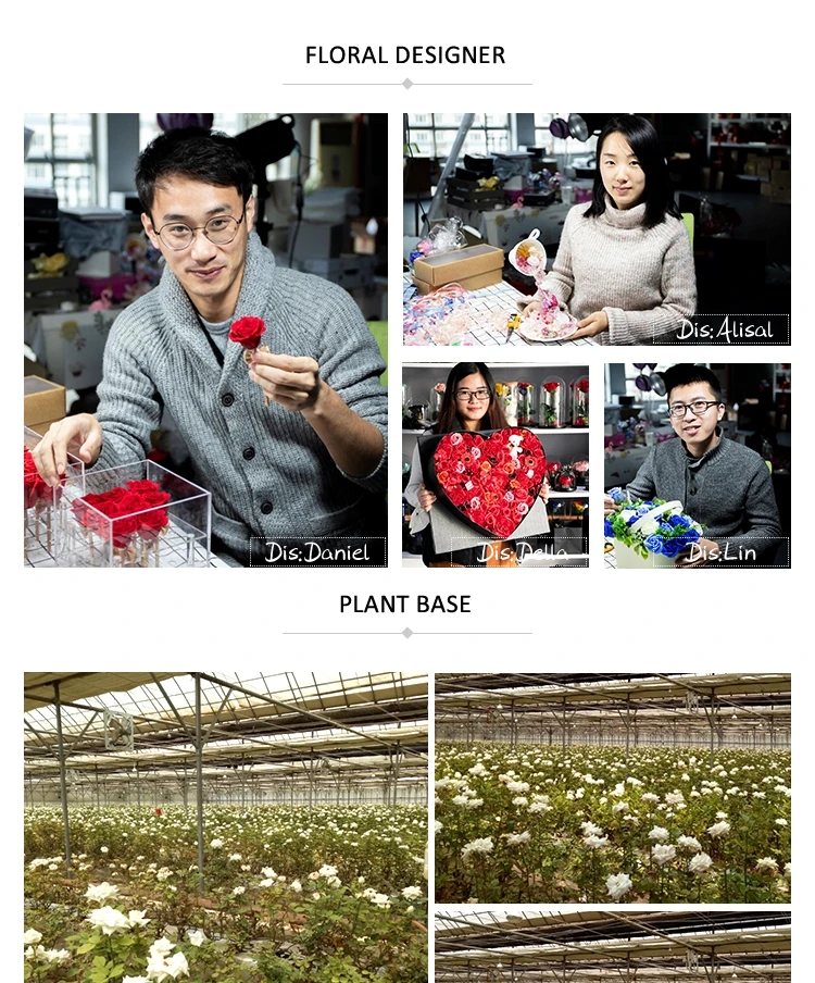 Preserved Roses (2).jpg