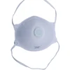 N95 FFP1 FFP2 FFP3 Standard Facial Latex Face Anti Disposable Respirator Dust Mask