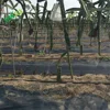 110gsm PE/pp agricultural plastic weed mat ground cover net 1.8*50m, black Weedmat Woven weed control mats