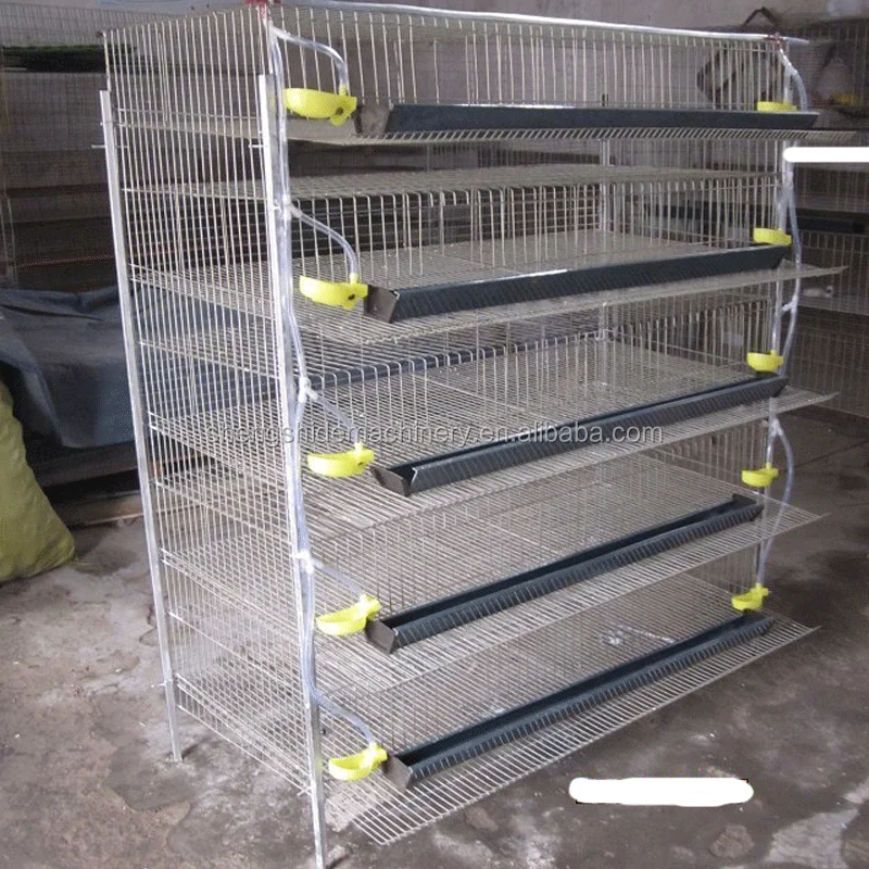 
Layer Quail Cages For South Africa,Plastic Quail Cage Farming Equipment 