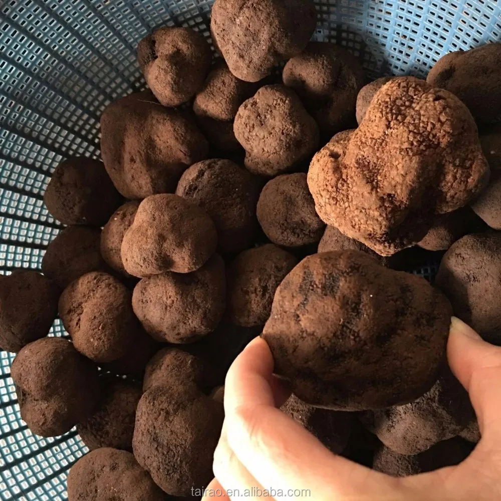 truffle price