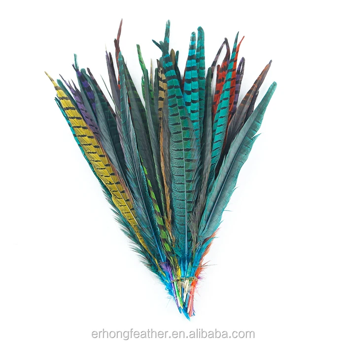 
Wholesale colorful long dyed pheasant feather 