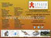 MEP CAD Services - 2D and 3D Drafting Services