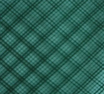 two ribs mosquito net