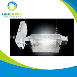 Tinted Float Glass Greenhouse