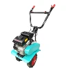 agriculture machinery equipment gasoline 3hp mini rotary tiller garden cultivator with low price in Bangladesh is for sale