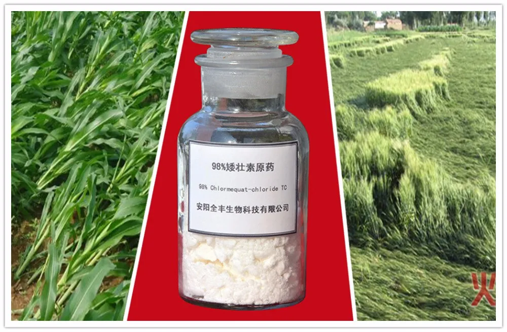 Plant Growth Retardants Clormequat Cycocel Ccc For Wheat 80sp 50as 98