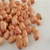 round shape peanut from factory china export peanuts