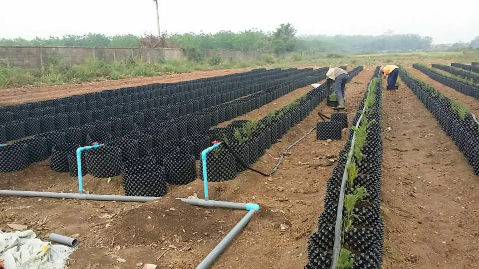 1-2 gallon nursery container