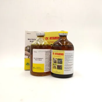 Vitamin B Complex Injection Liquid Vitamin Buy Competitive Price