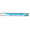 23.1 Inch Innolux LED LCD TFT Stretched Shelf Bar Signage Display Panel Module S231AJ1-LE1 Ultra Wide 1920X158 500nits 3000:1 LV