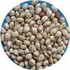 Light Speckled Kidney Beans Xinjiang Round Shape/ Xinjiang origin
