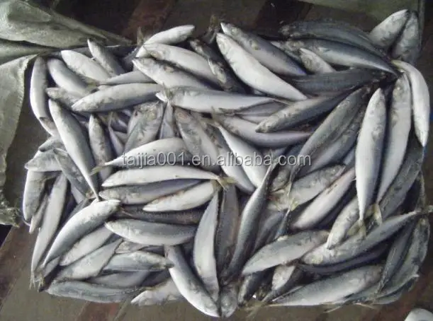 
good quality fish meal low price,origin china 