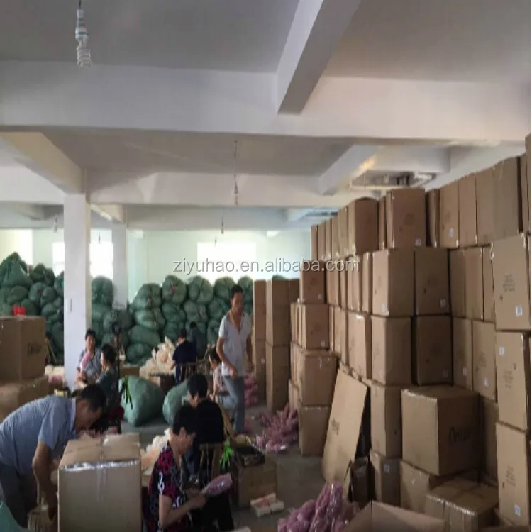 company picture1.jpg