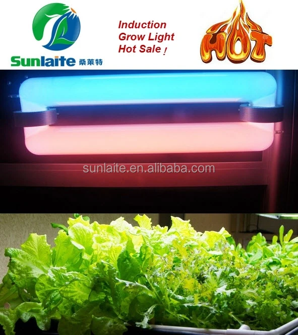 
new supplies Bi spectrum 300w Induction lamp for plants 85v 277v REAL Sulphur plasma grow light vegetables 