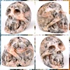 Natural crazy agate carved dragon head skull/ crystal dragon head skull carving,Christmas crystal gift