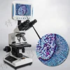 Beautiful Design Vga Microscope Digital Dental Microscope Factory Supply Optical Microscope With Camera