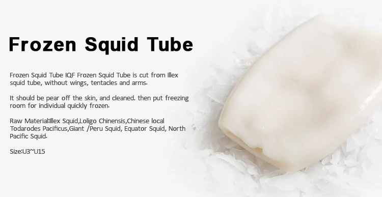squid tube.jpg