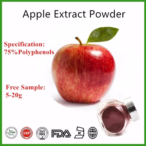 Pure Natural Apple Extract/apple Extract Powder/apple Extract