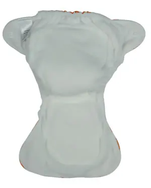 229.jpg