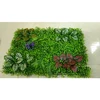 High Quality Artificial Grass Wall/Artificial Green Wall/Artificial Ornamental Plants