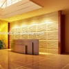Wholesale High Quality Customized Interior Decorative 3D Wall Panels 2016