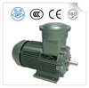 Professional Factory mass Production 55KW AC Electric Motor Explosion Proof