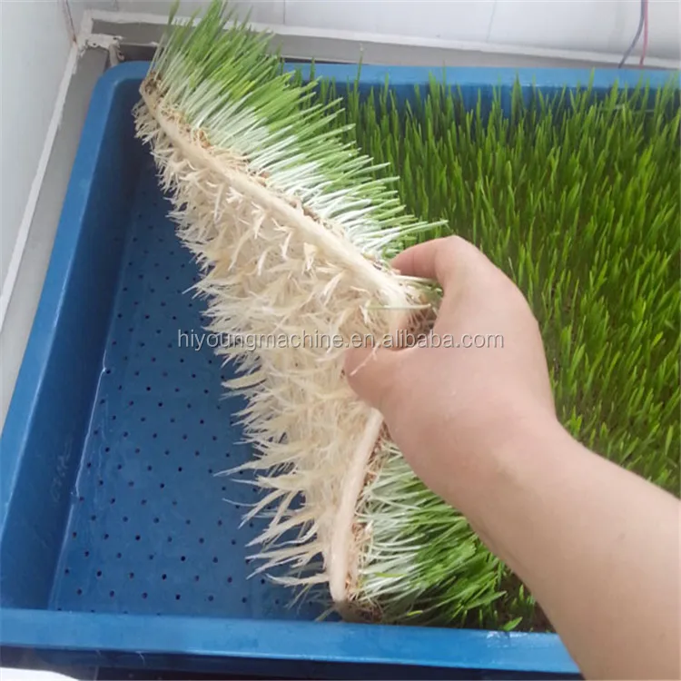 growing machine (4).jpg