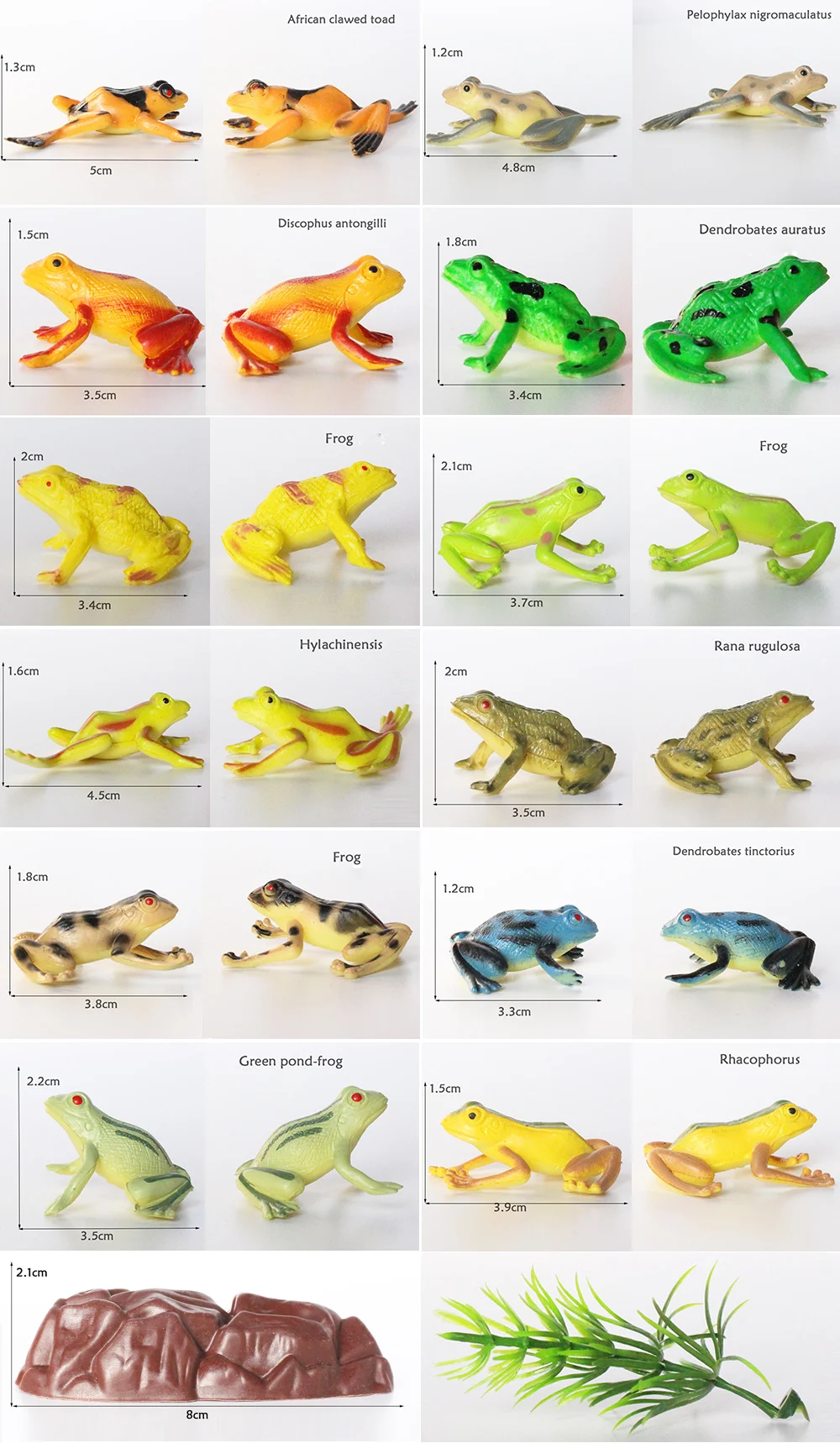 vivid rainforest animal plastic frog toy
