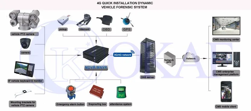 Tvs система