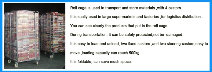 roll cage application.jpg