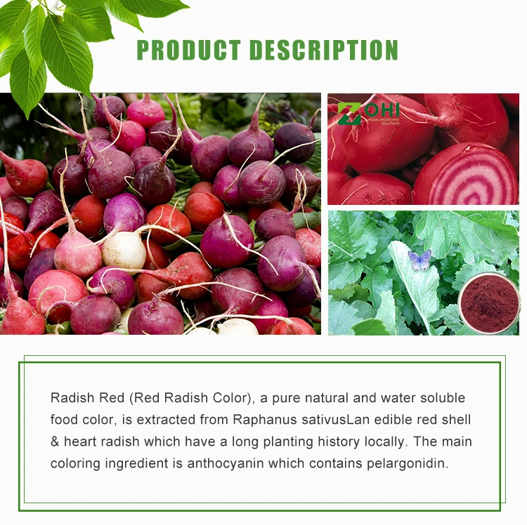 Food Color Radish Red Powder,Red Radish Root Extract Buy Red Radish