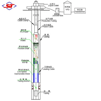 Direct drive electric submersible progressive cavity pump (ESP) pump used for oilfield