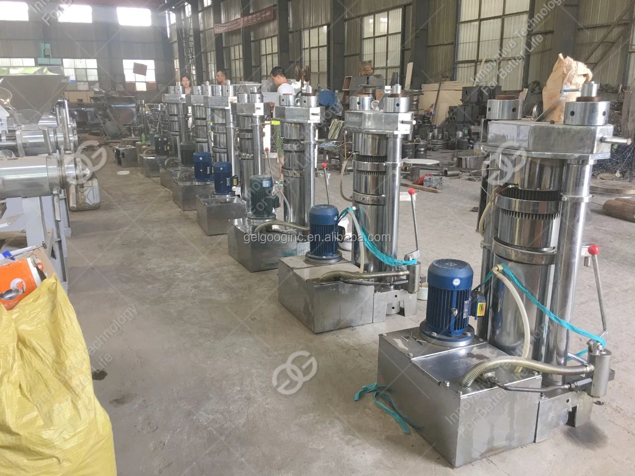 Gelgoog Small Home Cooking Oil Making Philippine Virgin Coconut Oil Extraction Pumpkin Seed Oil Press Machine