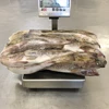 Frozen Whole Sea Fish Pacific Cod 100-200g