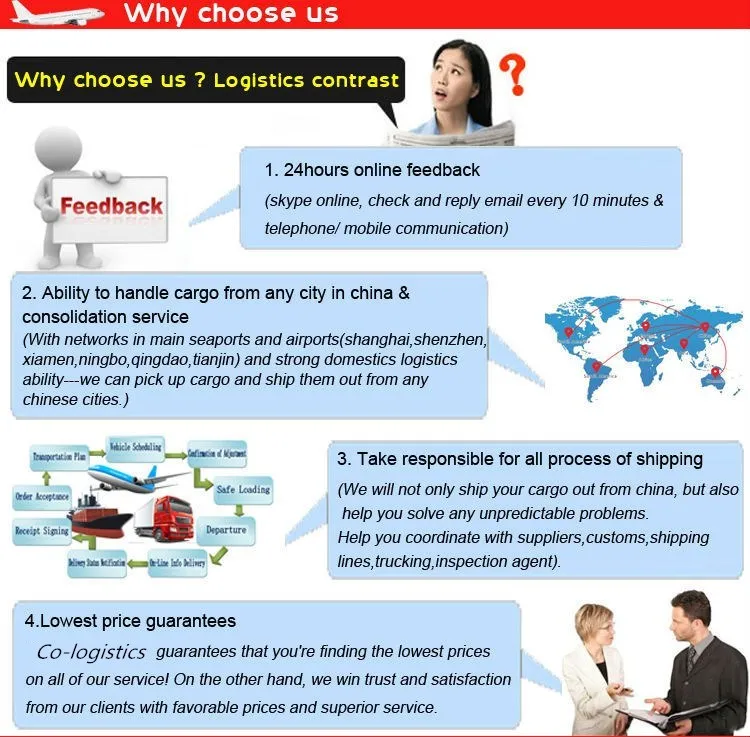 Sea Freight Forwarding Lcl Consolidator Shipping Containers Qingdao