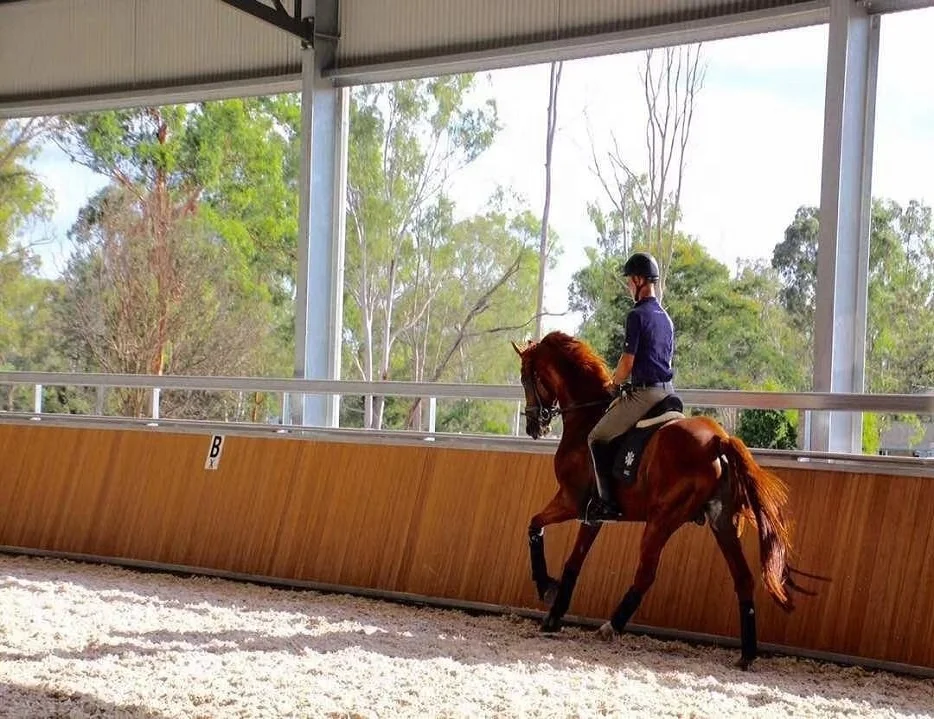 
stable bamboo board for arena 