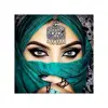 2019 Hot Design Beautiful Indian Girl Picture Framing Canvas 5d diy Cross Stitch Crystal Full Drill Diamond Painting