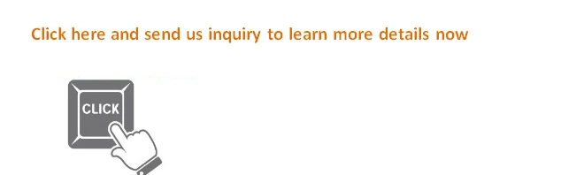 hot sale fibreglass animals sculptures life size horse mannequin manikin statues for sale.jpg