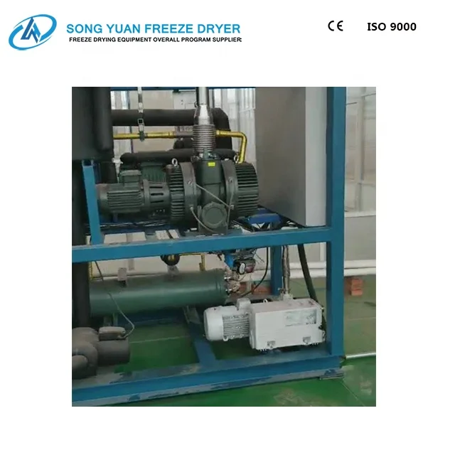 
cold drying machine freeze dried food machine industrial freeze drying machine LG-10 