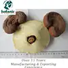 Ganoderma lucidum Red reishi powder Ling zhi Anticancer fungus Beverage material