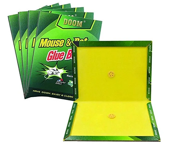 gule trap