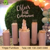 Wedding Decorative Walkway Mirror Columns