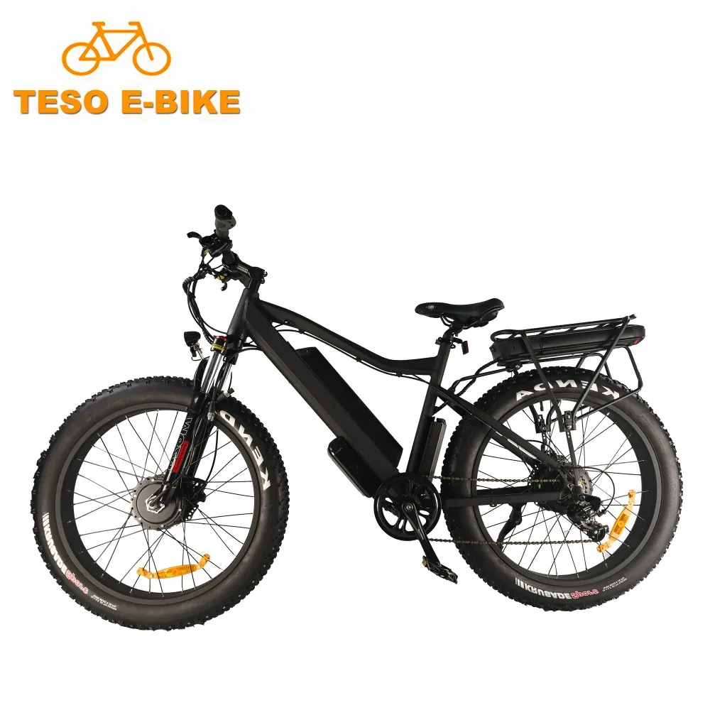 dual motor fat tire electric bike