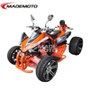 ATV Quad/Beach Buggy/Quad Bike for Sale (AT2001)