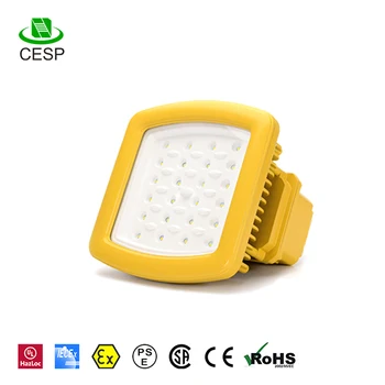 Roof Canopy Light Ceiling Led Gas Lighting Led High Bay Light