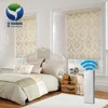 Custom Auto Window Smart Remote Control Electric Curtain System