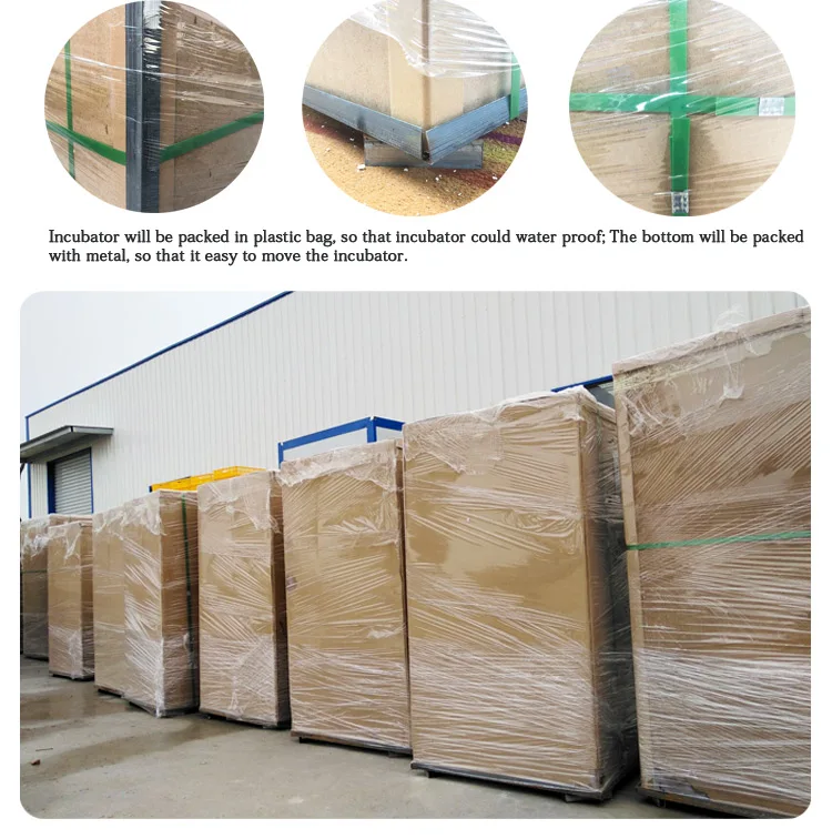 2023 Customized Design 8448 Automatic Incubators Blue limit Switch Egg Incubators