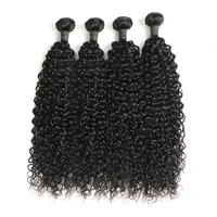 

New Arrival Water Wave Original Brazilian Human Virgin Hair 100% Brazilian Virgin Human Hair